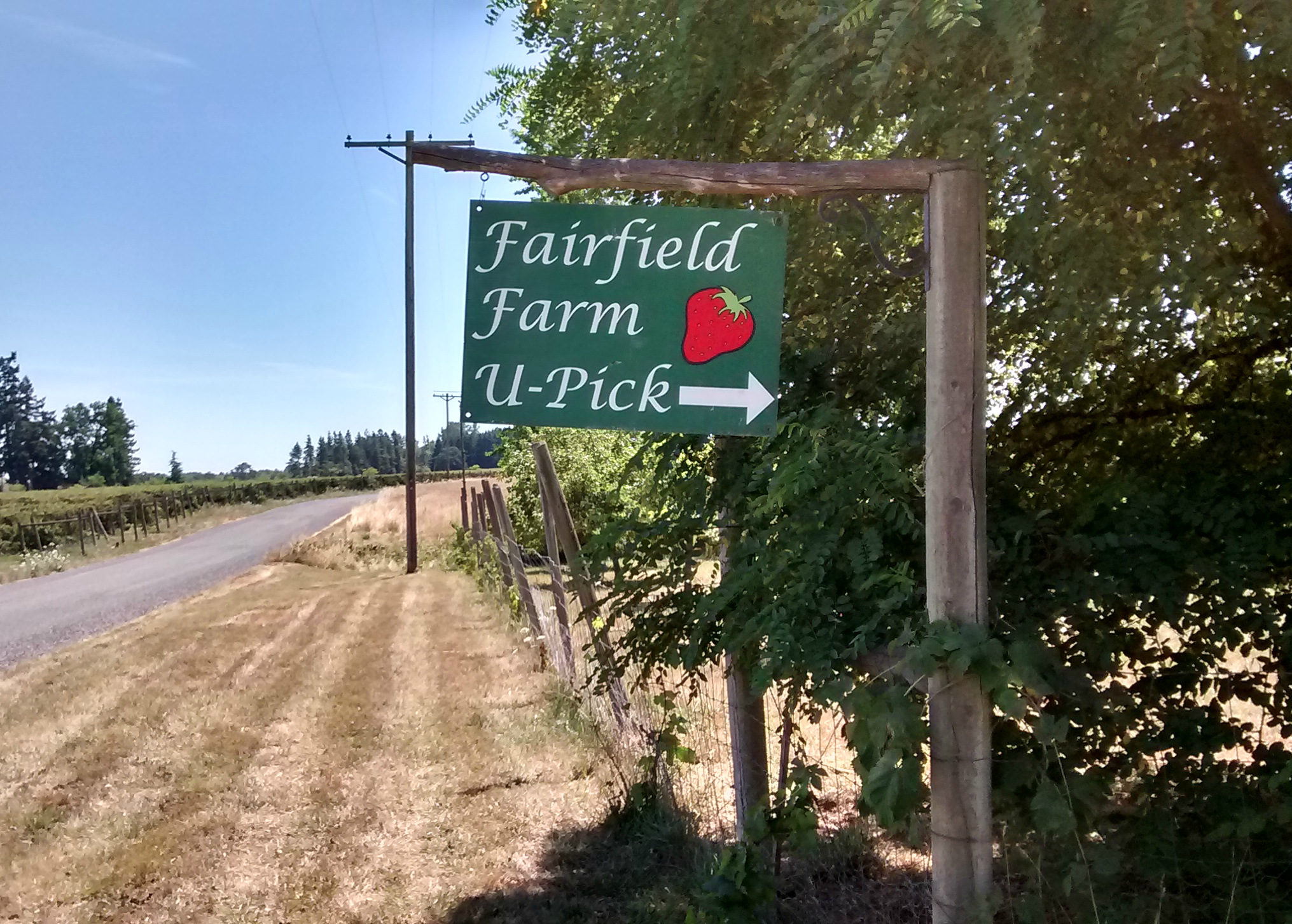 Fairfield Farm is located in the flyway between the Willamette River and Finley Wildlife refuge